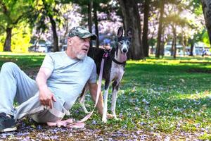 un hombre es sentado en el parque con su perro, disfrutando un hermosa soleado día. foto