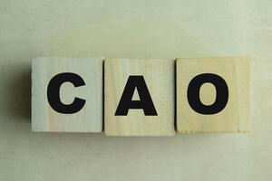 Concept of The wooden Cubes with the word CAO - Chief Accounting Officer on wooden background. photo