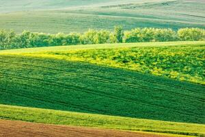 Moravian rolling landscape photo