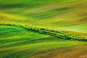 Abstract pattern of rolling fields photo