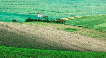 Moravian rolling landscape with hunting tower shack photo