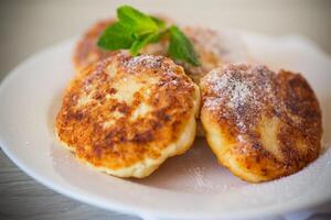 Sweet cooked cheesecakes in powdered sugar in a plate photo