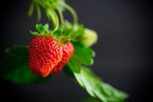 Ripe juicy red strawberry on black background photo