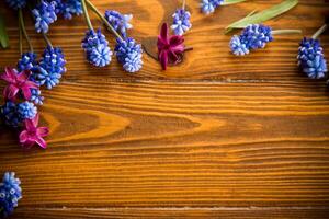 Wooden background with spring flowers and empty space photo