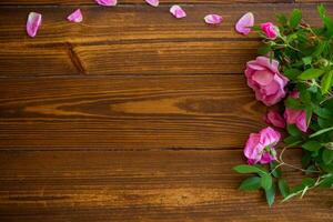 Floral background of pink and white roses on a dark wooden photo