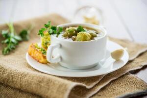 Hot cooked soup with Brussels sprouts, vegetables and croutons, in a plate. photo