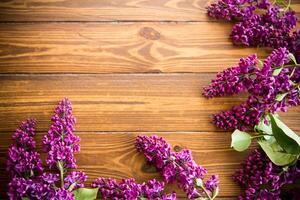 The beautiful lilac on a wooden background photo