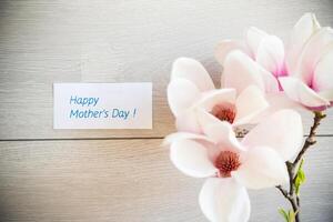 Branch with blooming pink Magnolia flowers on wooden background photo