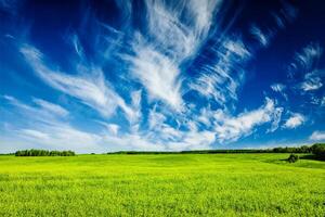 Spring summer green field scenery lanscape photo