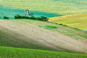 Moravian rolling landscape with hunting tower shack photo