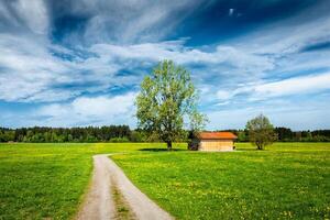 Summer meadow with barn shed in Germany photo