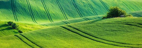 Moravian rolling landscape photo