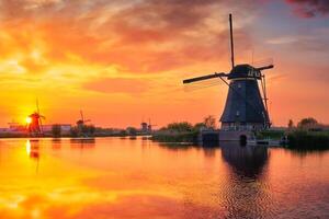 Windmills at Kinderdijk in Holland. Netherlands photo