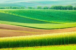 Moravian rolling landscape photo