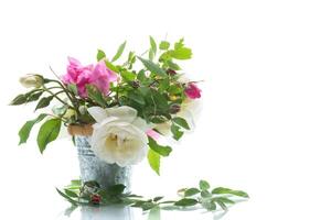 pequeño ramo de flores de hermosa verano rosado y blanco rosas foto