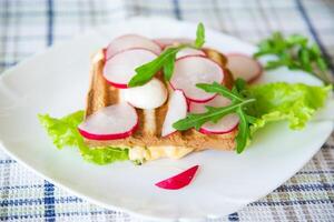 Hot sandwich of fried toast stuffed with cheese, herbs and radishes photo