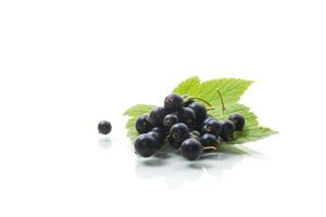 ripe blackcurrant berries with leaves on white background. photo