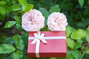 Gift box with pink roses and green leaves on the background. photo