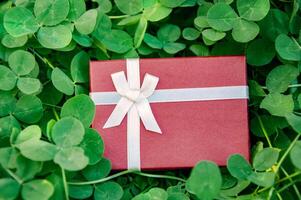 rojo regalo caja en verde trébol hojas antecedentes. San Patricio día foto