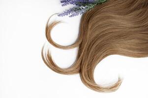 Beautiful long hair and a sprig of lavender on a white background photo