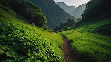 AI generated a trail in the mountains with green grass and trees photo