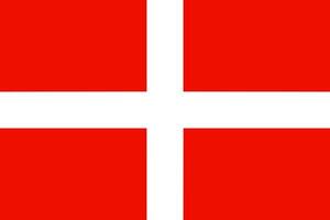 Flag of the Order of St John vector