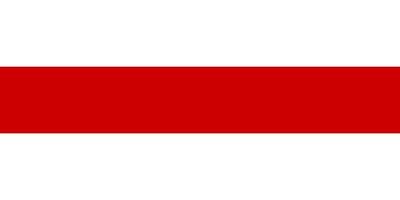 Flag of Belarus vector