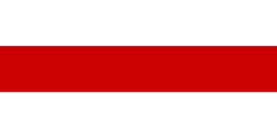 Flag of Belarus vector