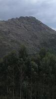 verticaal video van hoog berg rotsen landschap antenne visie