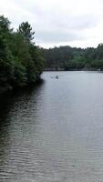 Vertikale Video von Fluss und Wald Antenne Aussicht