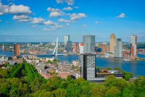 View of Rotterdam city and the Erasmus bridge photo