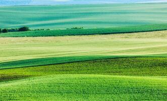 Abstract pattern of rolling fields photo