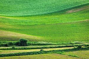 Abstract pattern of rolling fields photo