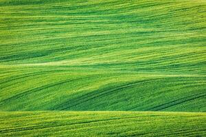 Abstract pattern texture of rolling fields photo