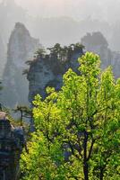 Zhangjiajie mountains, China photo