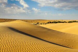 Dunes of Thar Desert, Rajasthan, India photo