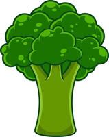 Cartoon Fresh Broccoli Cabbage. Vector Hand Drawn Illustration Isolated On Transparent Background