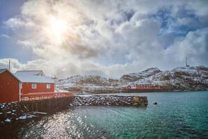 Red rorbu houses, Lofoten islands, Norway photo