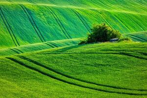 Moravian rolling landscape photo