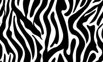 Zebra seamless pattern background, black and white striped lines vector