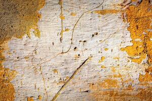Painted plaster wall texture photo