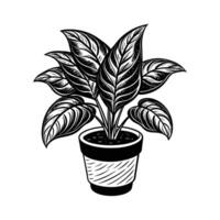 Home Plant in pots sketch vector