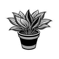 Home Plant in pots sketch vector