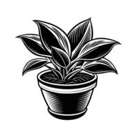 hogar planta en ollas bosquejo vector