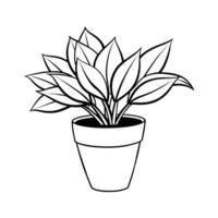 Home Plant in pots sketch vector