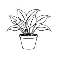 Home Plant in pots sketch vector