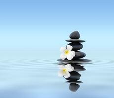 Zen stones with frangipani photo