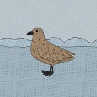 Skua bird is on the snow. Vector hand drawn cartoon childish illustration on the blue background. Polar animal in Antarctica with textures