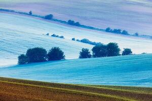 Rolling landscape of South Moravia in the morning photo
