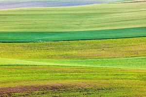 Abstract pattern of rolling fields photo